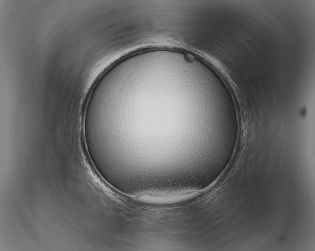 X0000116111335200912071314