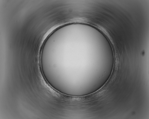 X0000116111339200912071314