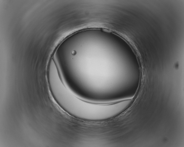 X0000116111342200912071314