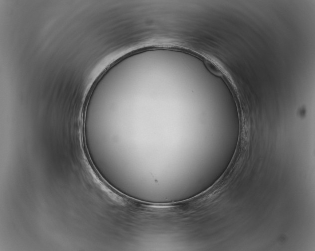 X0000116111343200912071314