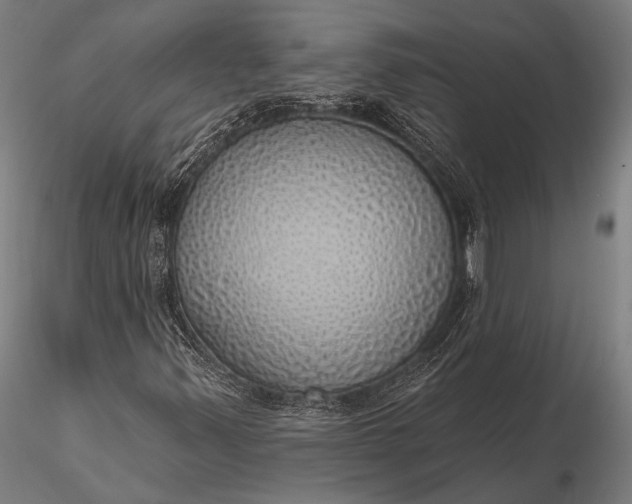 X0000116111347200912071313