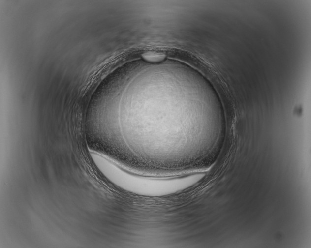 X0000116111348200912071313