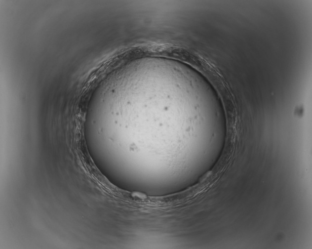 X0000116111349200912071313