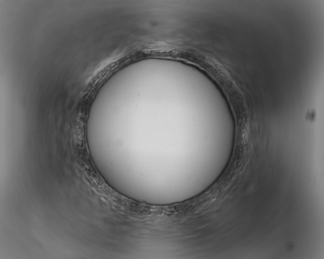 X0000116111350200912071313