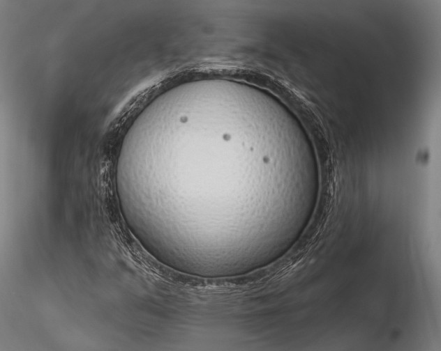 X0000116111351200912071313