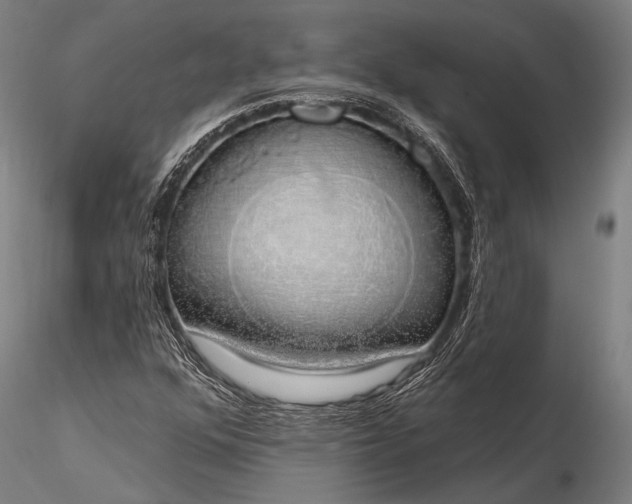 X0000116111352200912071313