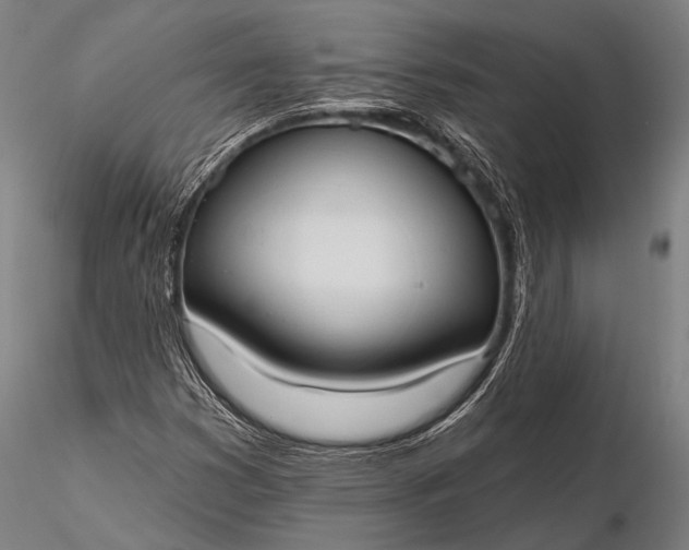 X0000116111353200912071313