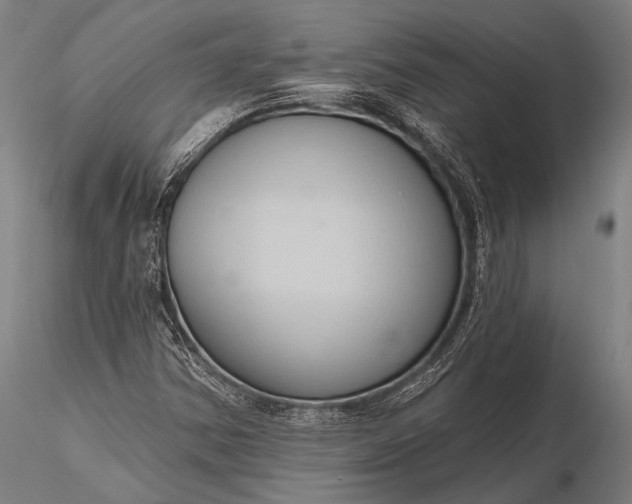 X0000116111354200912071313