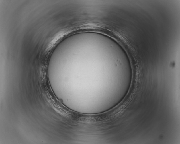 X0000116111355200912071313