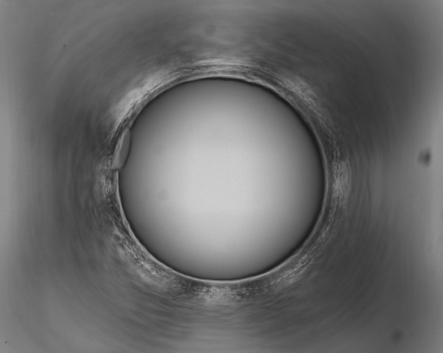 X0000116111357200912071313