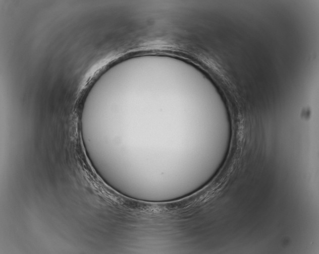 X0000116111358200912071313