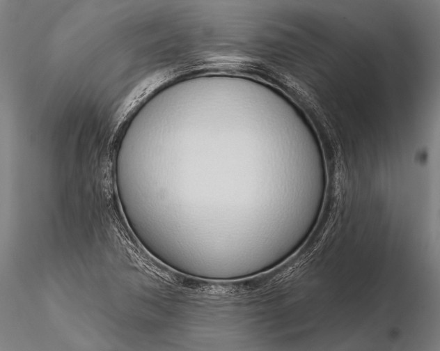 X0000116111362200912071313