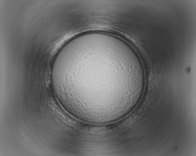 X0000116111363200912071313