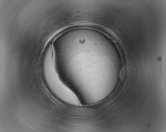 X0000116111364200912071313