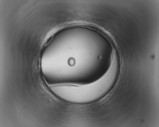 X0000116111365200912071313