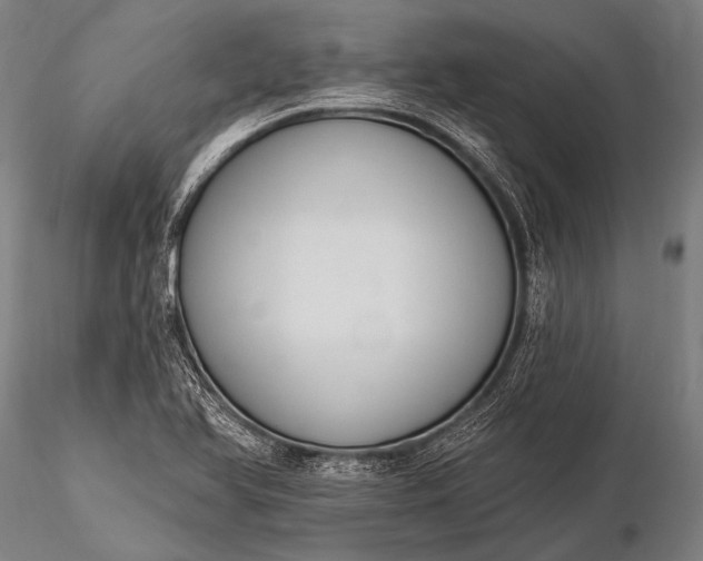 X0000116111366200912071313