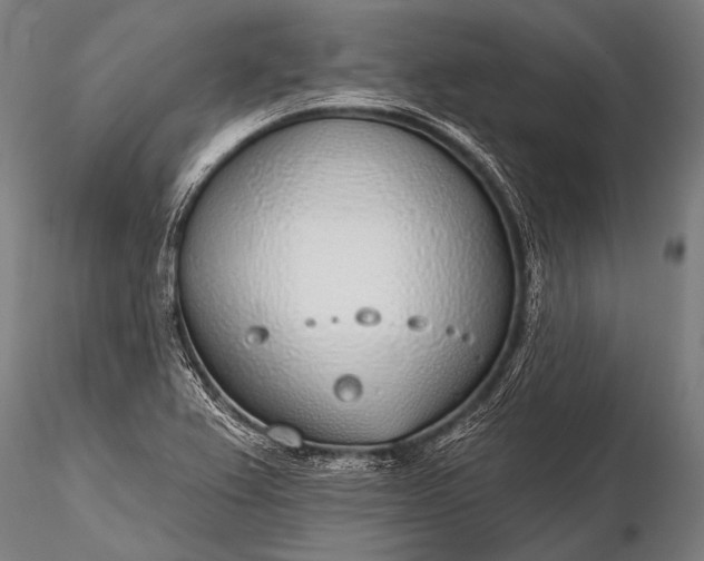 X0000116111367200912071313