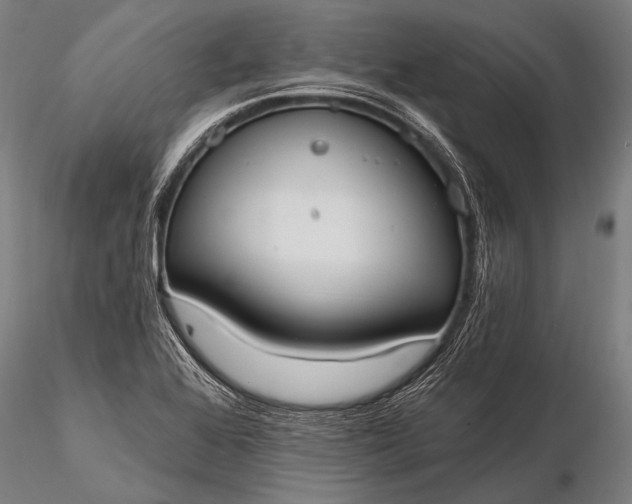 X0000116111368200912071313