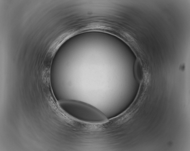 X0000116111369200912071313