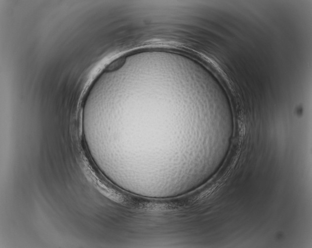 X0000116111371200912071313