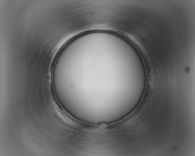 X0000116111372200912071313