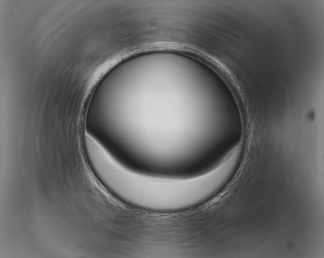 X0000116111373200912071313