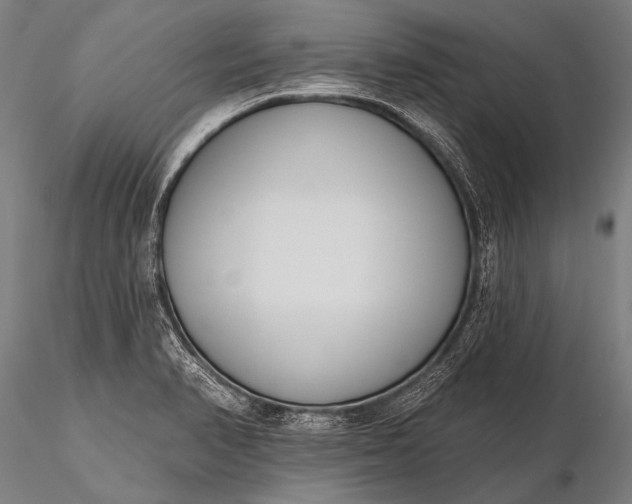 X0000116111374200912071313