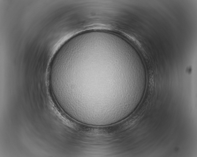 X0000116111375200912071313