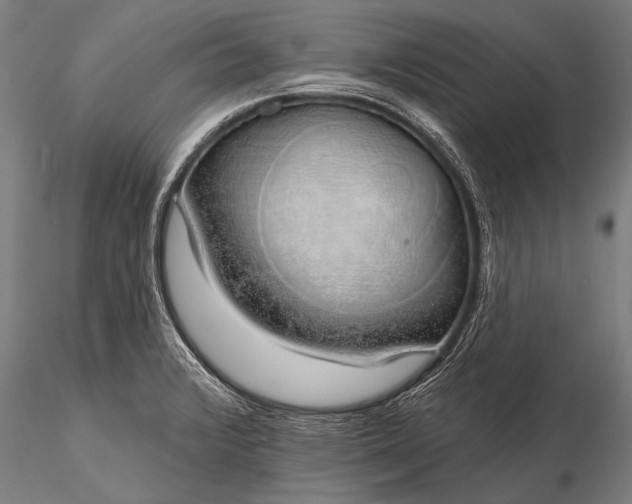 X0000116111376200912071313