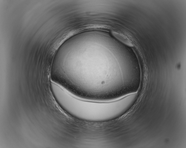 X0000116111377200912071313