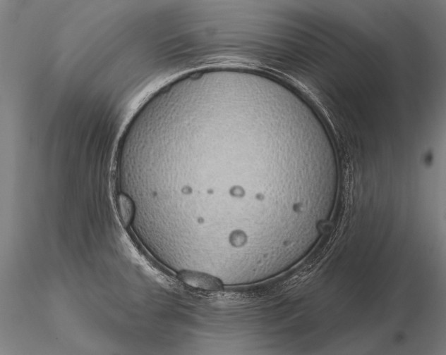 X0000116111379200912071313