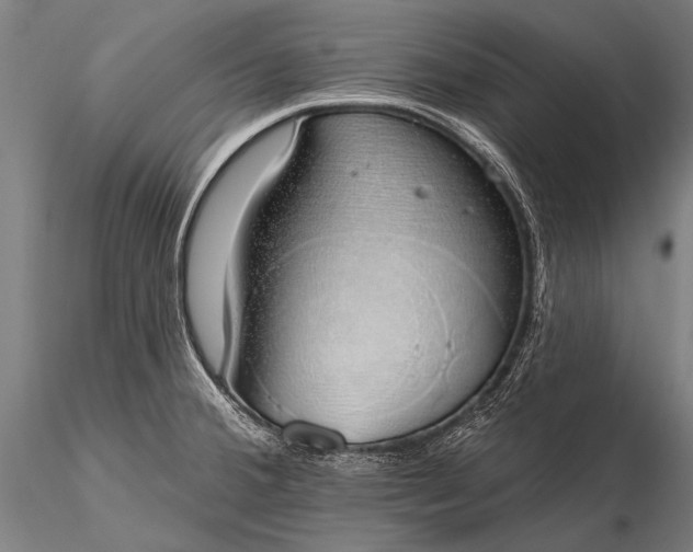 X0000116111380200912071313