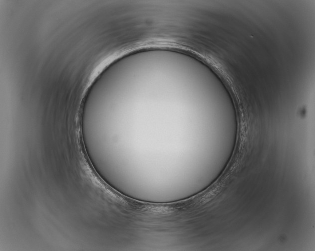 X0000116111382200912071313