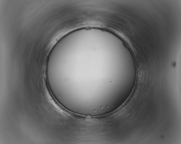 X0000116111383200912071313