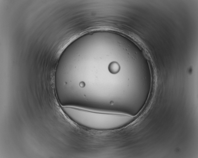 X0000116111385200912071313