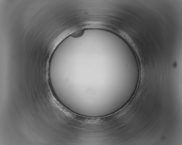 X0000116111386200912071313