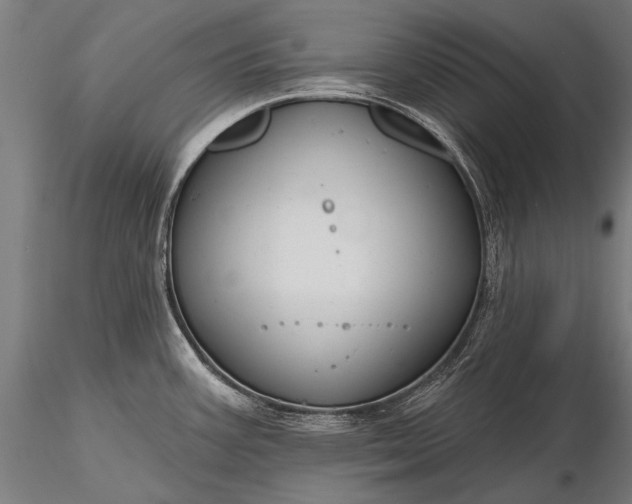 X0000116111387200912071313