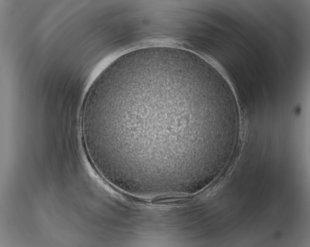 X0000116111389200912071313