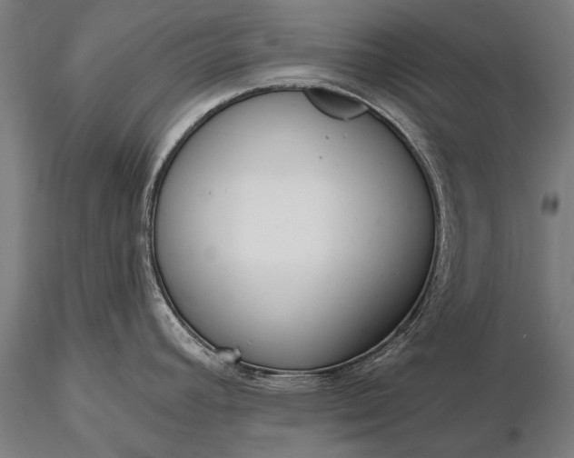 X0000116111392200912071313