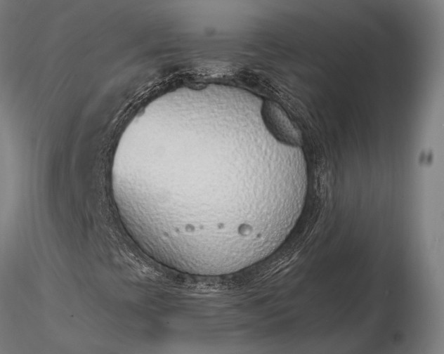 X0000116111393200912071312