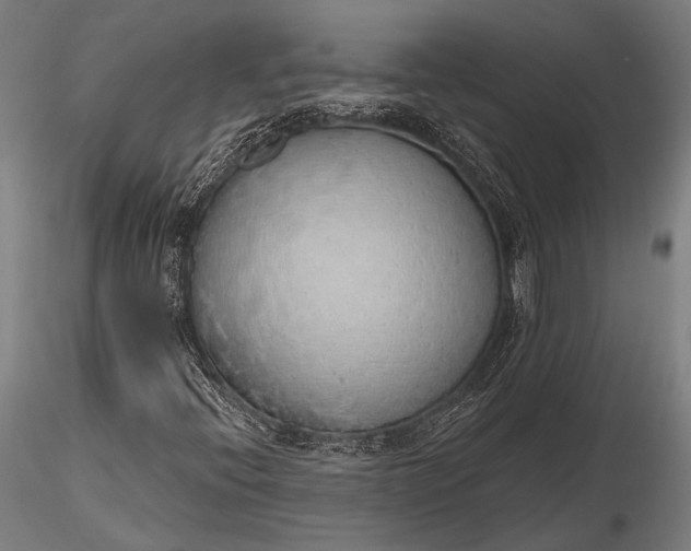 X0000116111396200912071312