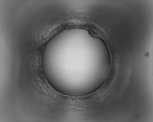 X0000116111397200912071312