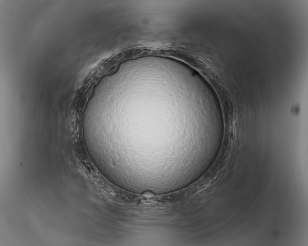 X0000116111398200912071312