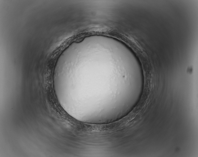 X0000116111399200912071312