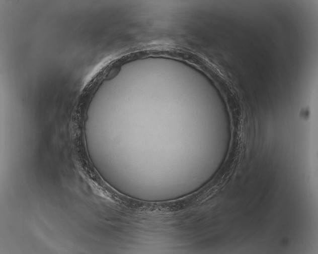 X0000116111400200912071312