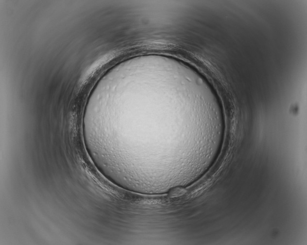 X0000116111402200912071312