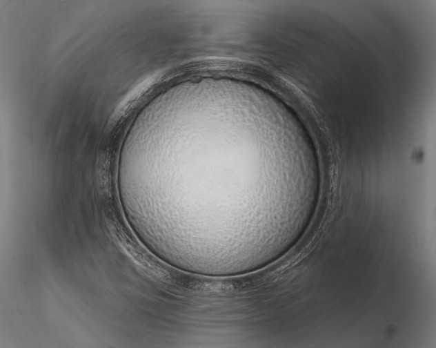 X0000116111403200912071312