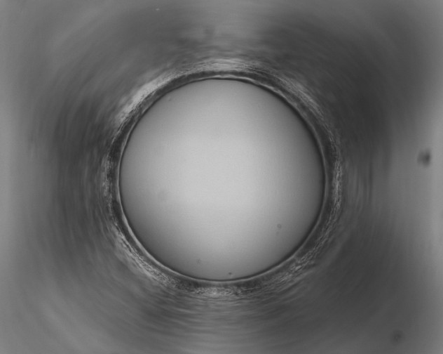 X0000116111404200912071312