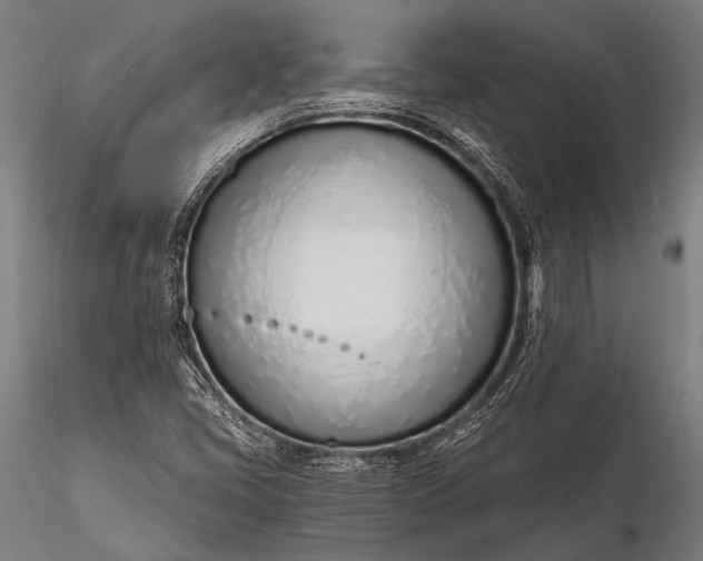 X0000116111405200912071312