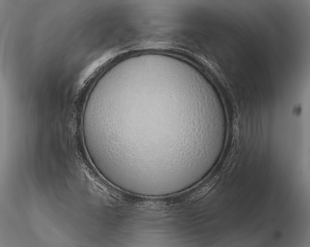 X0000116111406200912071312